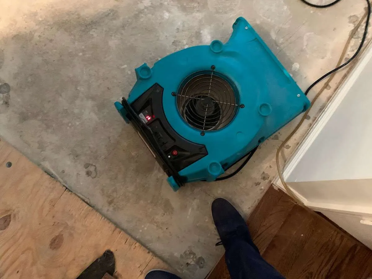 Air mover drying subfloor during Leak Detection & Repair in Forestville